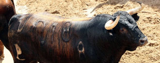 Sorteados los toros de Alcurrucén para Sevilla
