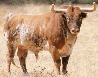 El Ventorrillo en Íscar