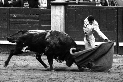 Los Alburejos, su casa