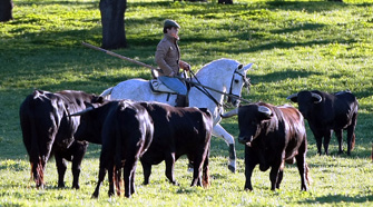 El Juli debutará como ganadero en una novillada picada en Olivenza