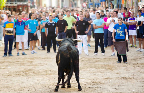 "Lastimoso", de Ibán, manteniendo a raya a los aficionados (Foto: Florent Lucas)