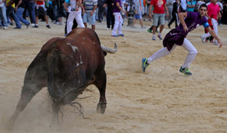 Derroche de bravura de un toro de La Campana en Lliria