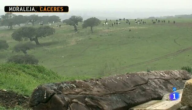 Victorino Martín, saga ganadera en Comando Actualidad