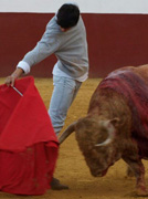 Miguel Ángel Silva, de nuevo ante el toro