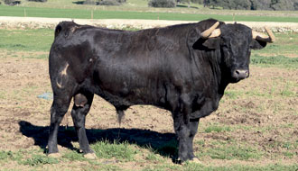 La calidad por norma