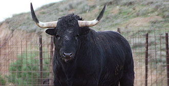 Los de Corbacho Grande para los recortes de Castellón
