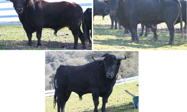 Triplete de Guadalmena