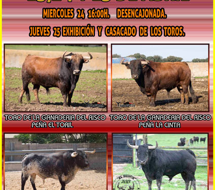 Los toros para el San Marcos de Arroyo del Ojanco