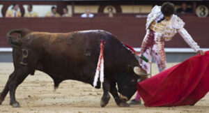 (Foto: Javier Arroyo)