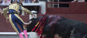 (Foto: Javier Arroyo)