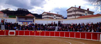 Bildu prohíbe los festejos taurinos en Sopuerta