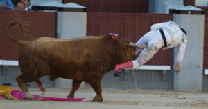 Momento de la cogida a Rafael Cerro (Foto: Javier Arroyo)
