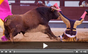 (Foto: Alberto de Isidro)