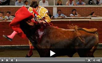 Armillita, cornada de dos trayectorias que rompe safena