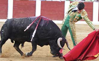 Sobresale Tomás Campos en tarde de volteretas y lesiones