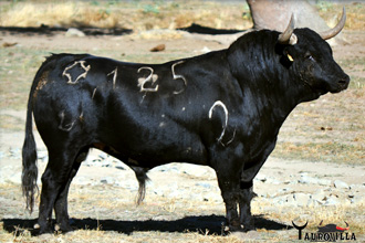 Seis de Puerto de San Lorenzo
