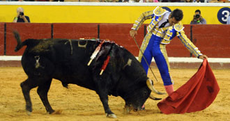 Más toreros que toros
