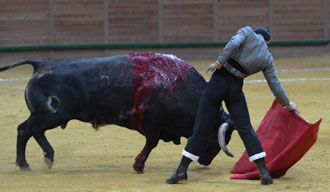 Bolívar y Ana Romero destacan en el festival de Arnedo