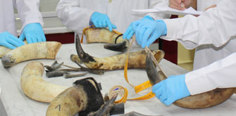 La Policía se forma en el análisis de los pitones