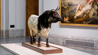 Un toro en el Prado