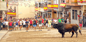 Los "bous al carrer" se estudiarán en los colegios
