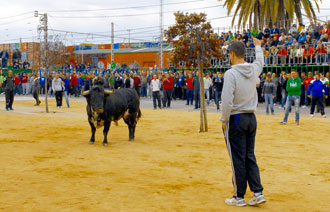 Un toro de Gerardo Ortega abre la temporada valenciana