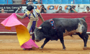 Larga cordobesa de El Capea, ante su primero. (Foto: Tadeo Alcina)