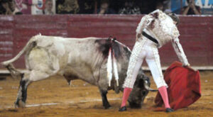 (Foto: Tadeo Alcina)