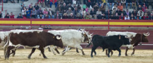 (Foto: Javier Arroyo)