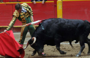 (Foto: Rodrigo Urrego B. )