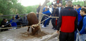 (Foto: Juan Antonio Ferrandis)