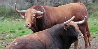 (Foto: Julián López)