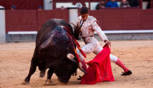 (Foto: Javier Arroyo)