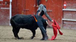 (Foto: Carlos Pereletegui)