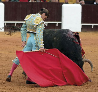 “No me preocupa la alternativa”