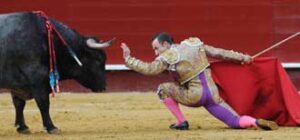 (Foto: Rullot)