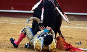 (Foto: Arjona)