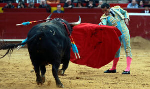 (Foto: Arjona)