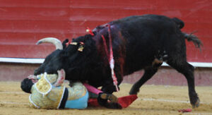 (Foto: Rullot)