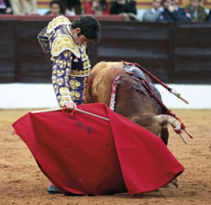 (Foto: Arjona)