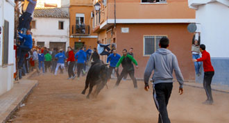Encinagrande en Benavites