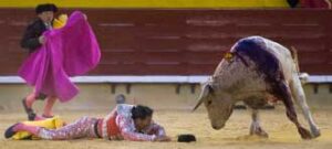 (Foto: Javier Arroyo)