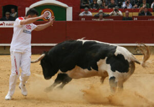 (Foto: J. A. Ferrandis)