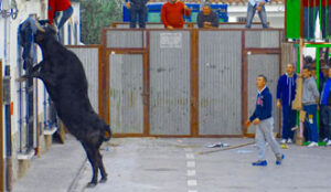 (Foto: Torodigital)