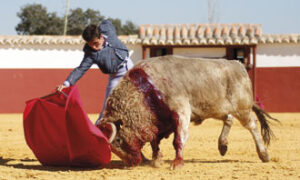 (Foto: Julio César Sánchez)