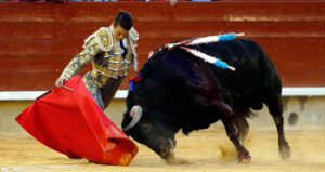 Manzanares, doblándose con Zangamango (Foto: Arjona)