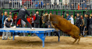 (Foto: Torodigital)