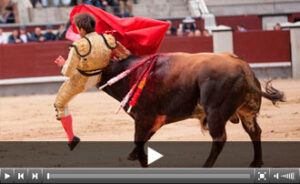 (Foto: Alberto de Isidro)