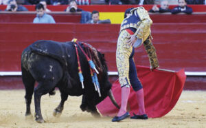 (Foto: Rullot)