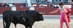 (Foto: Javier Arroyo)